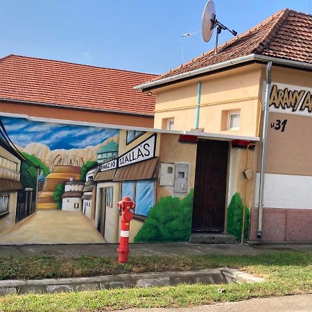 Arany Apartman Aparthotel Cegled Luaran gambar